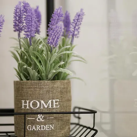 Appartement Modern Edipsos