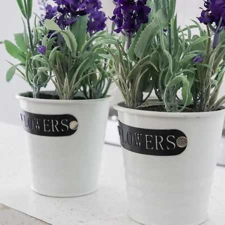 Modern Edipsos Appartement *