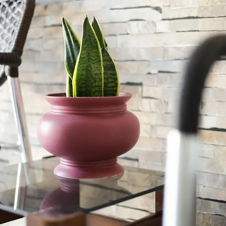 Appartement Modern Edipsos