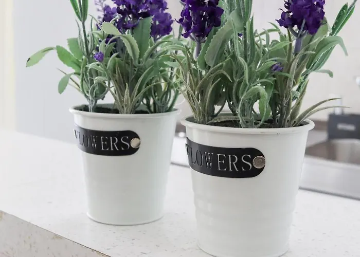 Modern Edipsos Apartment *