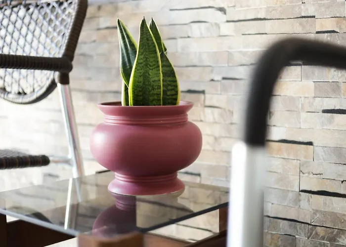 Apartment Modern Edipsos